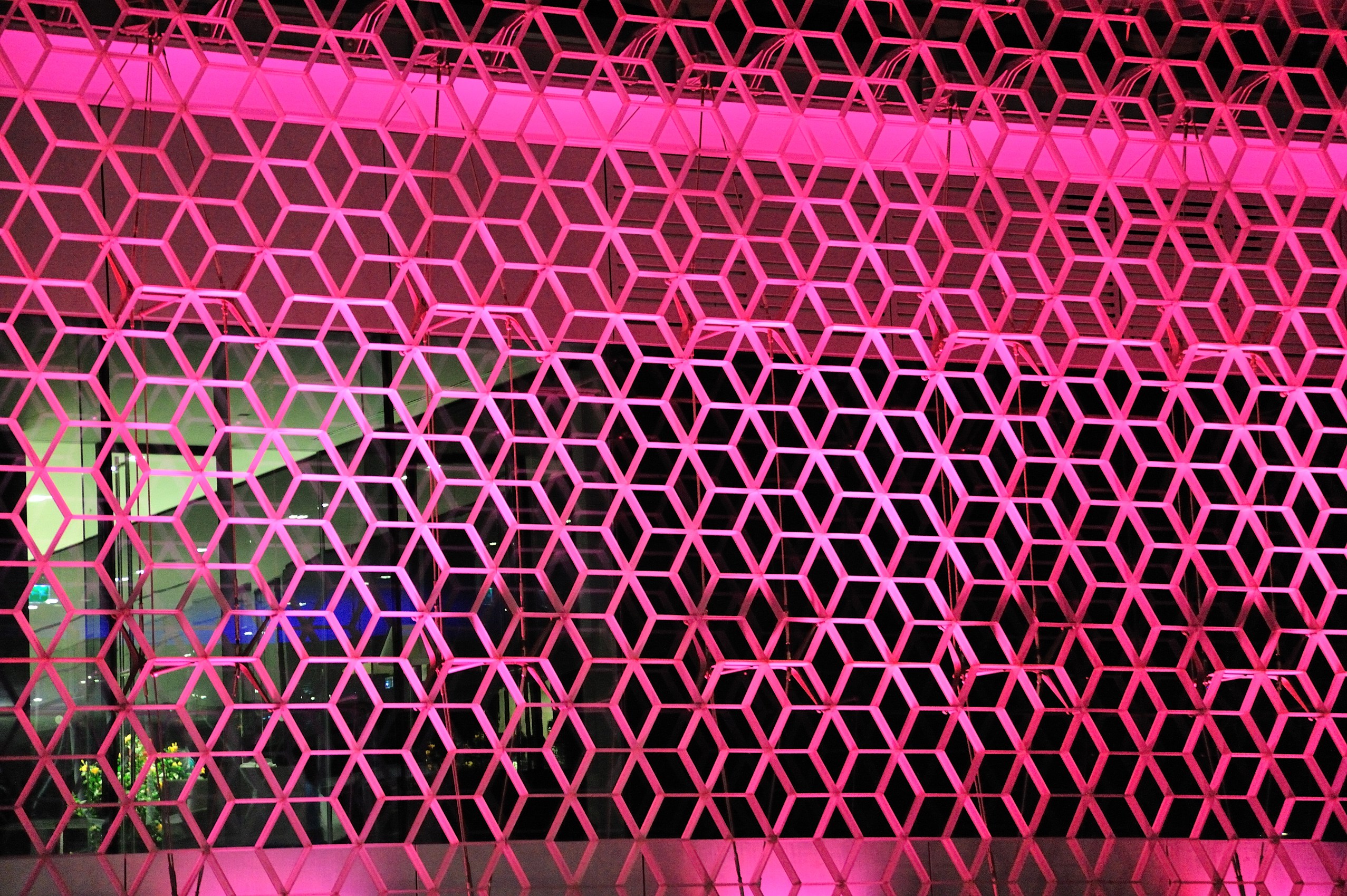 009